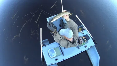 Parduodu katamaranų skirtų žvejybai, gamybos, prekybos įmonę - 1