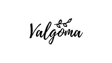 VALGOMA PUOKŠTĖ franšizė Lietuvoje - 1