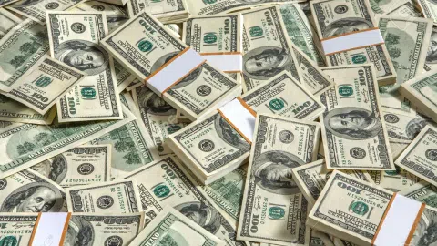 Domina įvairios investicijos - 1
