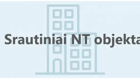 Sėkmingai plėtoju komercinius NT projektus - 1