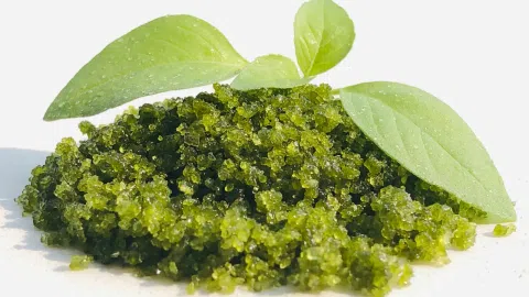 Naujas cukraus produktas rinkoje - 1