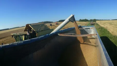 Birių krovinių pervežimas ir ekspedijavimas - 1