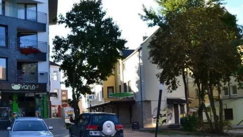 MIESTO CENTRE IŠNUOMOJAMOS PATALPOS - 1