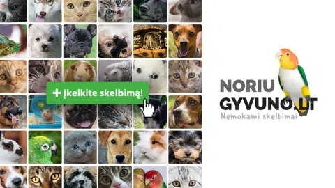 Gyvūnų skelbimų portalas Noriugyvuno.lt - 1