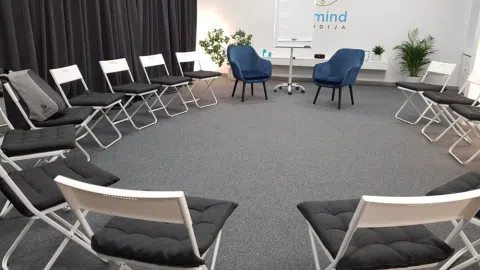 Pelningai veikianti studija Žvėryne - 1