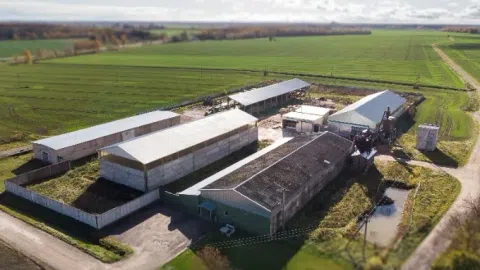 PARDUODAMA GAMYBINĖ MEDIENOS PERDIRBIMO ĮMONĖ (UAB) - 1