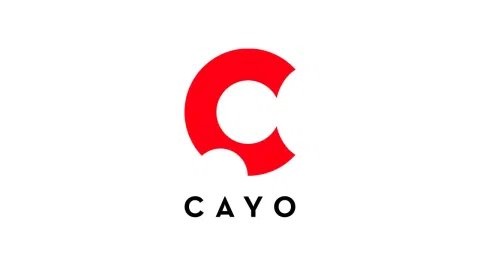 Parduodamas startuolis CAYO, vystimosi stadijoje - 1