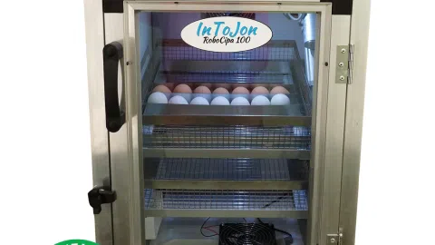 Ieškome investuotojų į verslą arba partnerių - 1