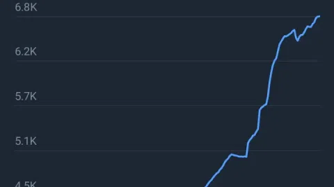 Internetinė informacijos keitimosi platforma. - 1
