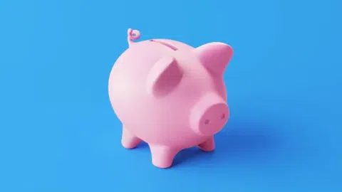 Ieškoma investicija/paskola - 1