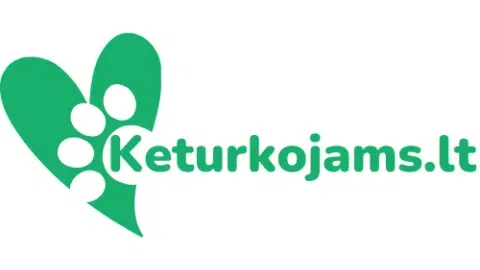 Parduodama perspektyvi el. prekybos parduotuvė - 1