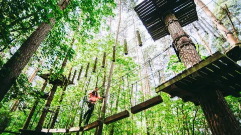 Parduodamas pelningai veikiantis nuotykių parkas Anykščiuose - 1