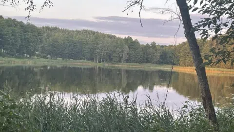 Investicija , paskola - 1