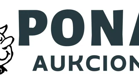Parduodamas Ponas Aukcionas el. parduotuvės projektas su inventoriumi - 1