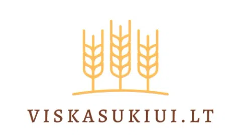 Parduodami 2 skelbimų portalai - 1