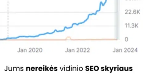 Į grąžą orientuotos reklamos paslaugos SEO | SEM | PPC - 1
