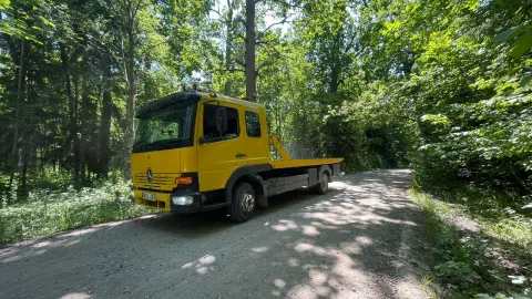 Traliukas Vilniuje - 1