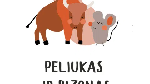 Parduodame internetinę parduotuvę - vaikiškos prekės ir drabužiai (su dideliu prekių likučiu) - 1