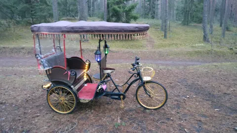 Elektrinis triratis - Rikša - rickshaw - 1