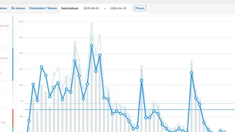 Parduodamos dvi sėkmingos internetinės parduotuvės - 1