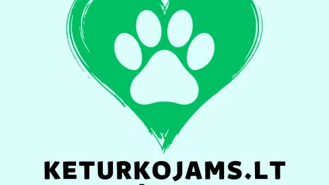 Parduodama perspektyvi el. prekybos parduotuvė - 1