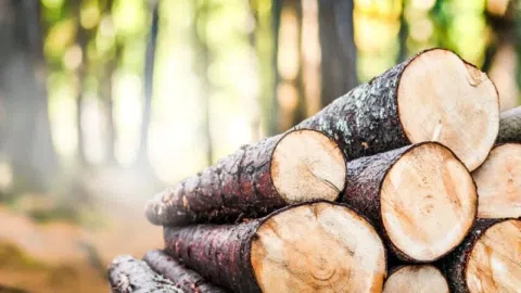 Dirbanti lentpjūvė, ieško partnerių/investuotojų - 1