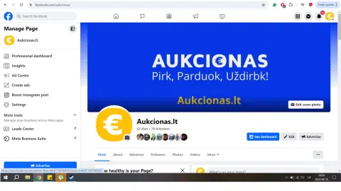 Aukcionas.lt - 1