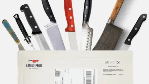 Parduodamas Pilnai Veikiantis Aštruspeilis.lt internetinis verlsas - 1