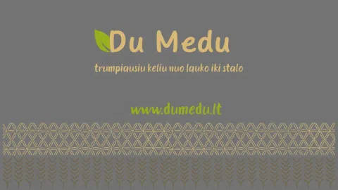 Ieškome strateginio investuotojo - 1