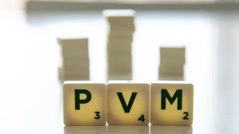 UAB+PVM, MB su PVM su istorija - 1