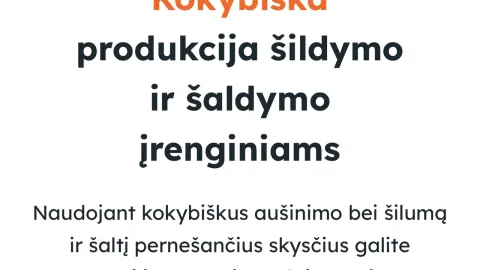 Parduodu veikiančią el. parduotuvę - 1