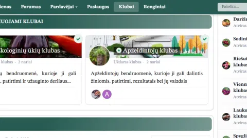 PARDUODU PARUOŠTĄ INTERNETINĮ VERSLĄ - 1