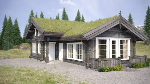 Ieškau investuotojo. - 1