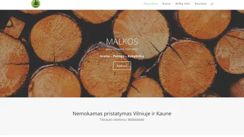 Paruošta svetainė/ Ready website - 1