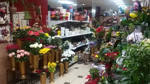 Parduodamas  gėlių salonas - 1