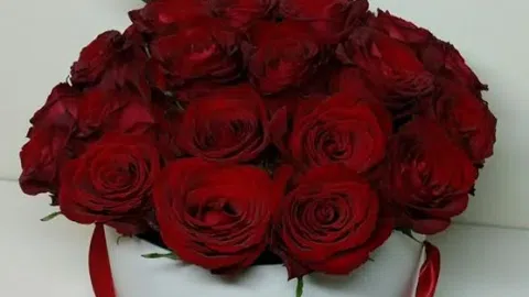 Geliu salonas - 1