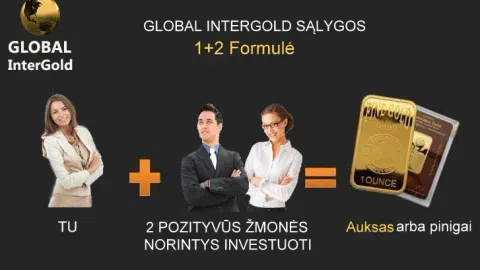Nuosavas verslas internetu - 1
