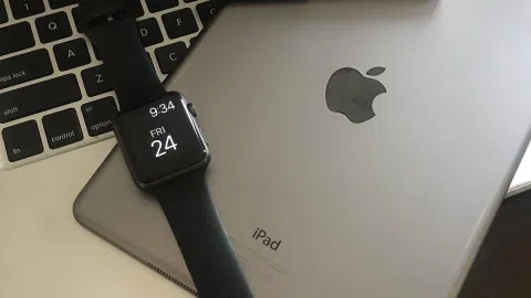 Parduodamas Internetinis Apple produkcijos verslas - 1