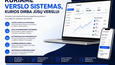 Verslo sistemų, web sistemų kūrimas pagal poreikį - 1