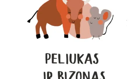 PARDUODAMA VEIKIANTI INTERNETINĖ VAIKIŠKŲ DRABUŽIŲ PARDUOTUVĖ - 1