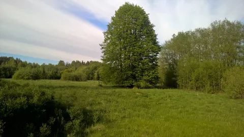 Siūlome investuoti į verslo idėją Šventojoje (Palangoje)