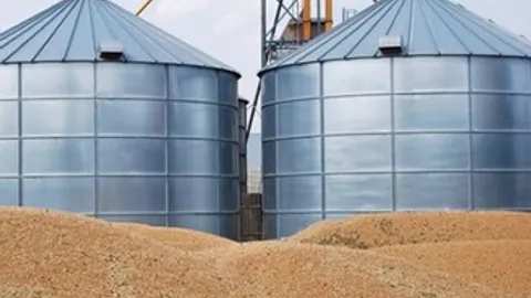 Pirksiu ūkį ar žemės ūkio bendrovę