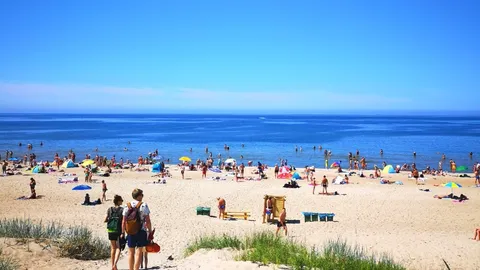 Ieškome sklypo Palangoje, perkame be banko