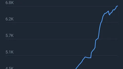 Internetinė informacijos keitimosi platforma.
