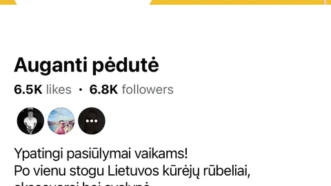 Internetinė parduotuvė + fb ir instagram profiliai