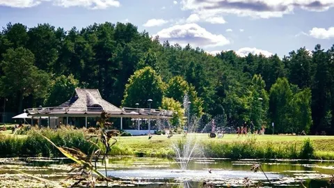 Restoranas - baras Elingas