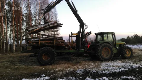 Miško ruošos įmonė