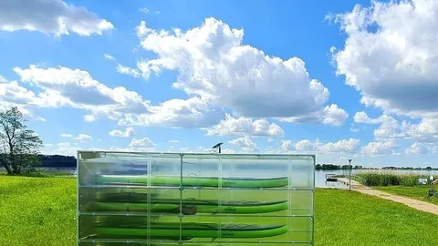 Savitarnos irklenčių nuoma