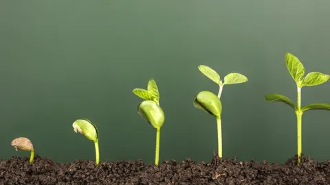 Turi idėją? Ieškai patyrusio partnerio? Pasikalbėkime