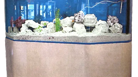 Akrilinis akvariumas 400 litrų unikalaus vandenyno